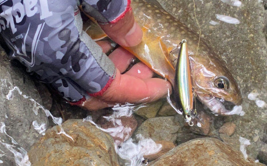 Exploring Mountain Stream Trout in the Blessed Rain Falls in Drought - Vanfook USA