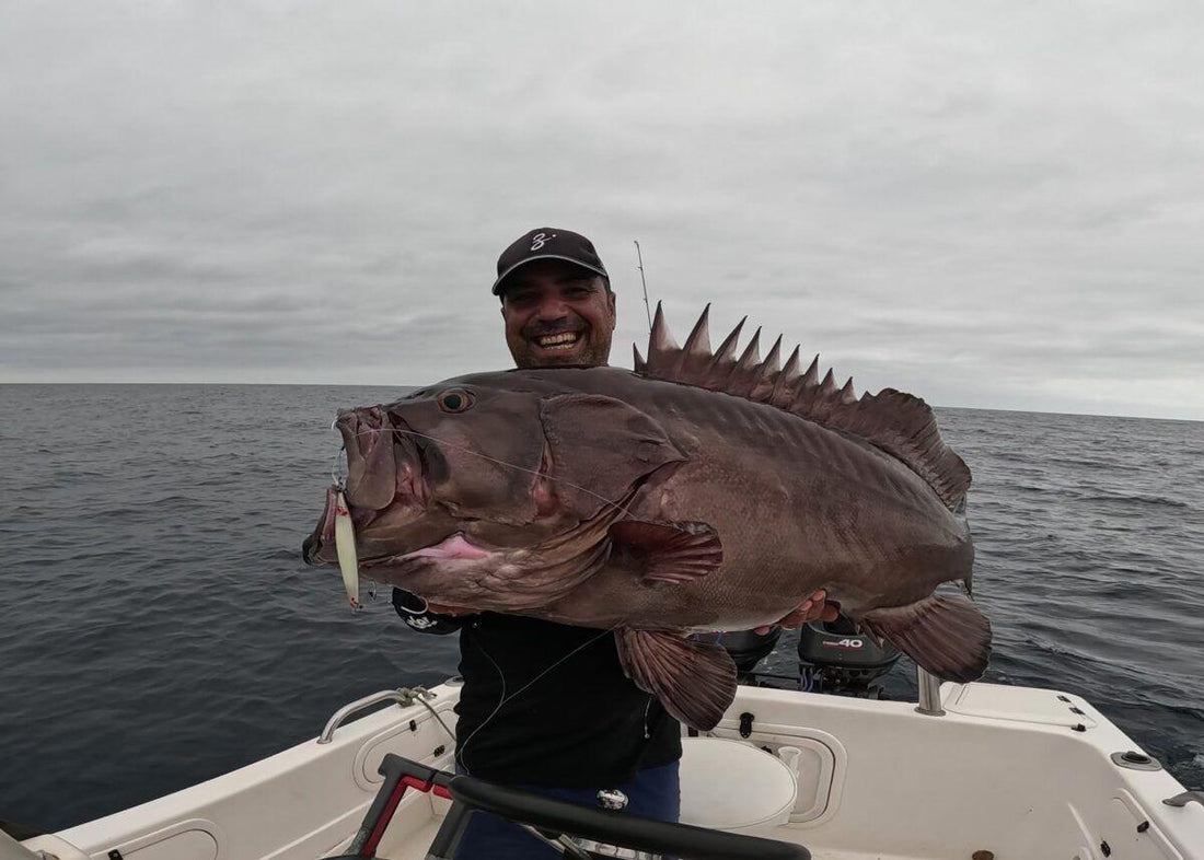 A True Story of A Dogtooth Grouper … Luis Ramos SALTWATER - Vanfook USA